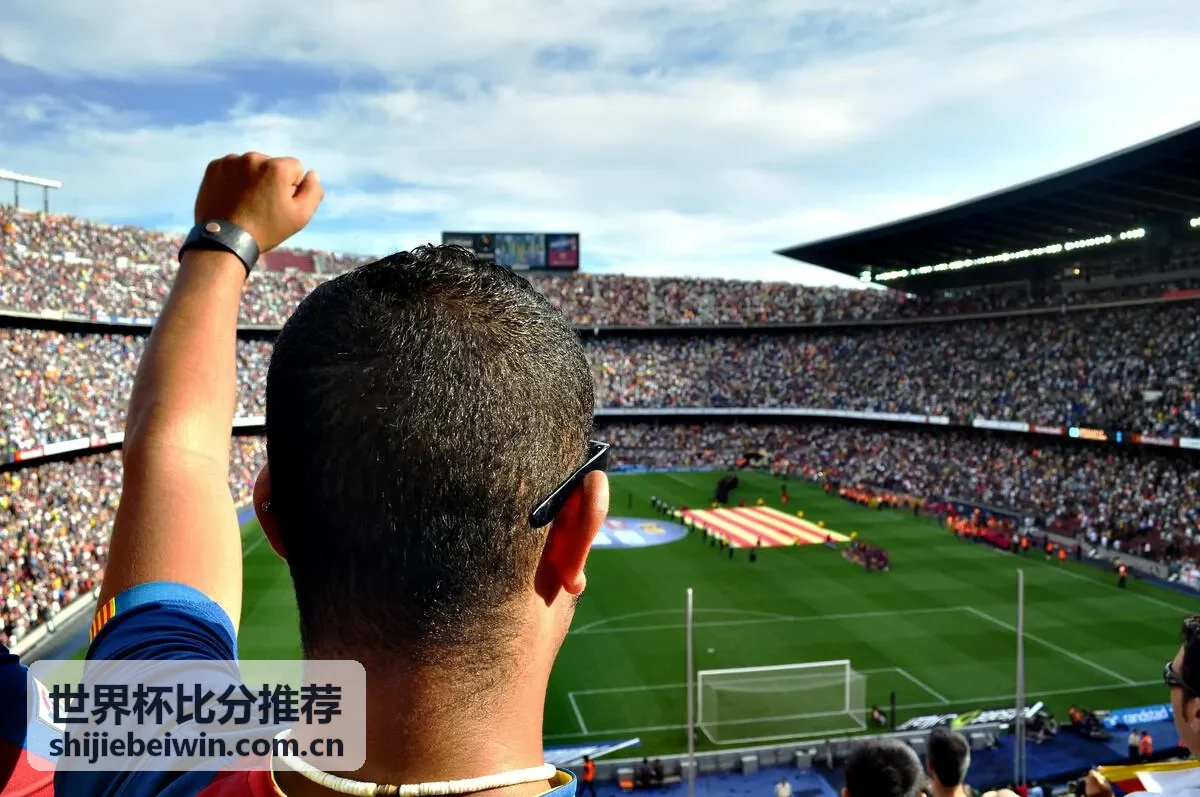 世界杯比分推荐 - 赛事分析